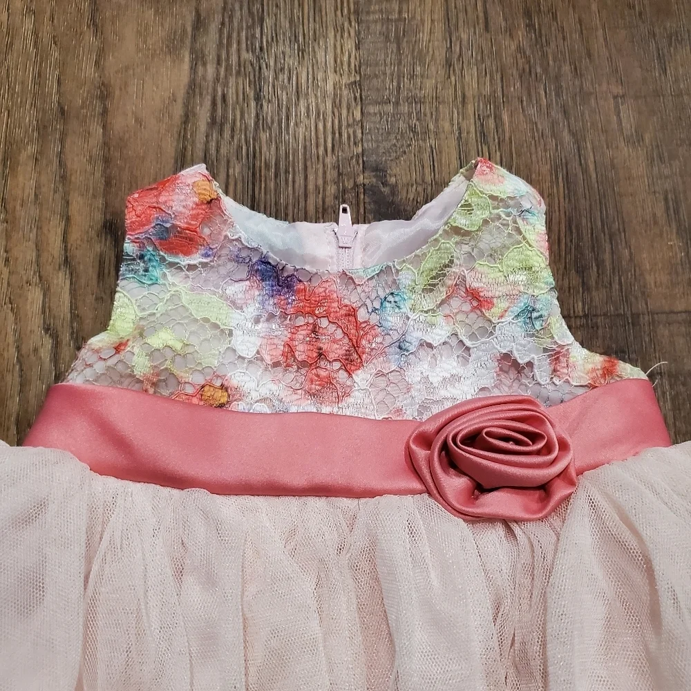 Bonnie Baby Girl Fancy Dress Pastel Pink Tulle Rainbow Floral Lace Rose Formal - Picture 2 of 9